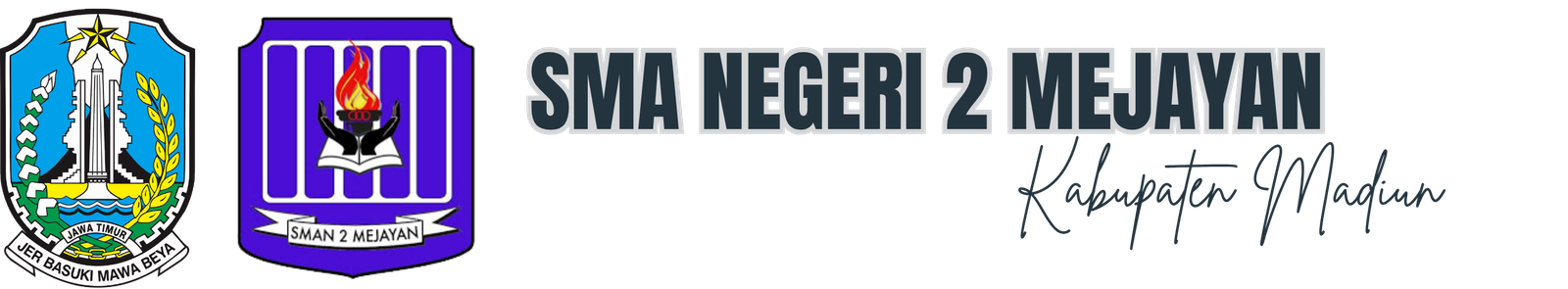 Logo Website